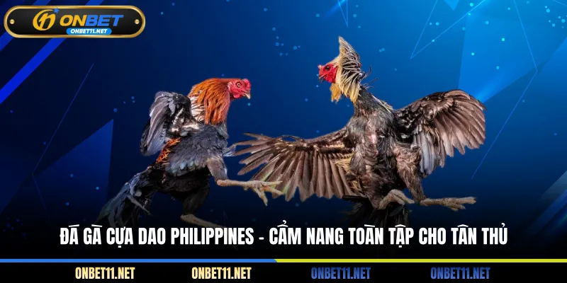Đá Gà Cựa Dao Philippines - Cẩm Nang Toàn Tập Cho Tân Thủ Đá gà cựa dao Philippines - Cẩm nang toàn tập cho tân thủ