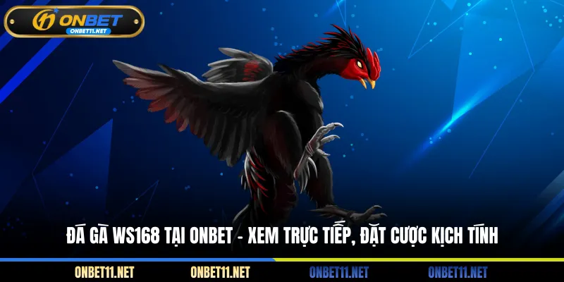 Đá Gà WS168 Tại ONBET - Xem Trực Tiếp, Đặt Cược Kịch Tính Đá gà WS168 tại Onbet - Xem trực tiếp đặt cược kịch tính