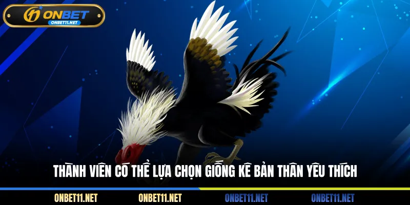 Đá Gà Cựa Dao Philippines - Cẩm Nang Toàn Tập Cho Tân Thủ Thành viên có thể lựa chọn giống kê bản thân yêu thích